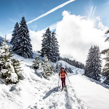 Gelinotte Gl10 Telecabine & Mountain 4 Pers Apartmán